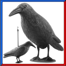 Corvo Finto Spaventapasseri Dissuasore Statua Spaventa Scaccia Piccioni Uccelli