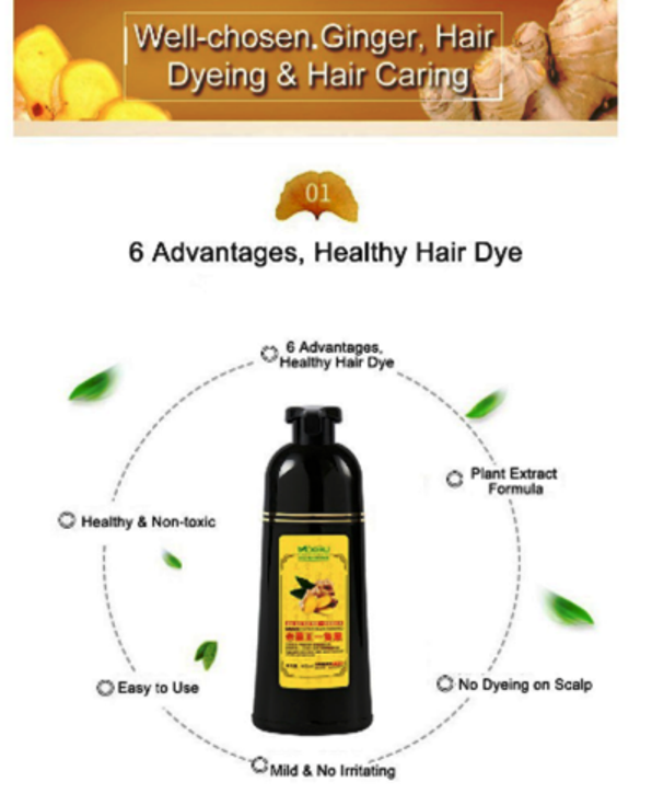 MOKERU Ginger Essence Black Shampoo 500ml-5 Minute Fast Hair Dye