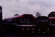 1981 Original Bus Slide PMT OCA 622P Ref 8996