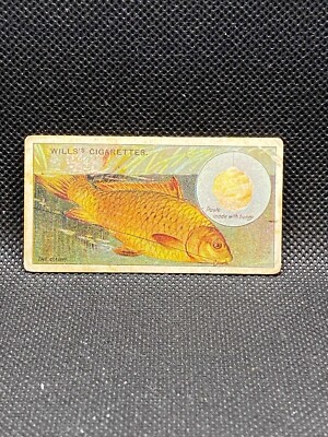 1910 Wills's Cigarettes Cards - Fish & Bait Series Singles - Imperial  Tobacco