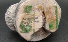 Bild 6 von 6