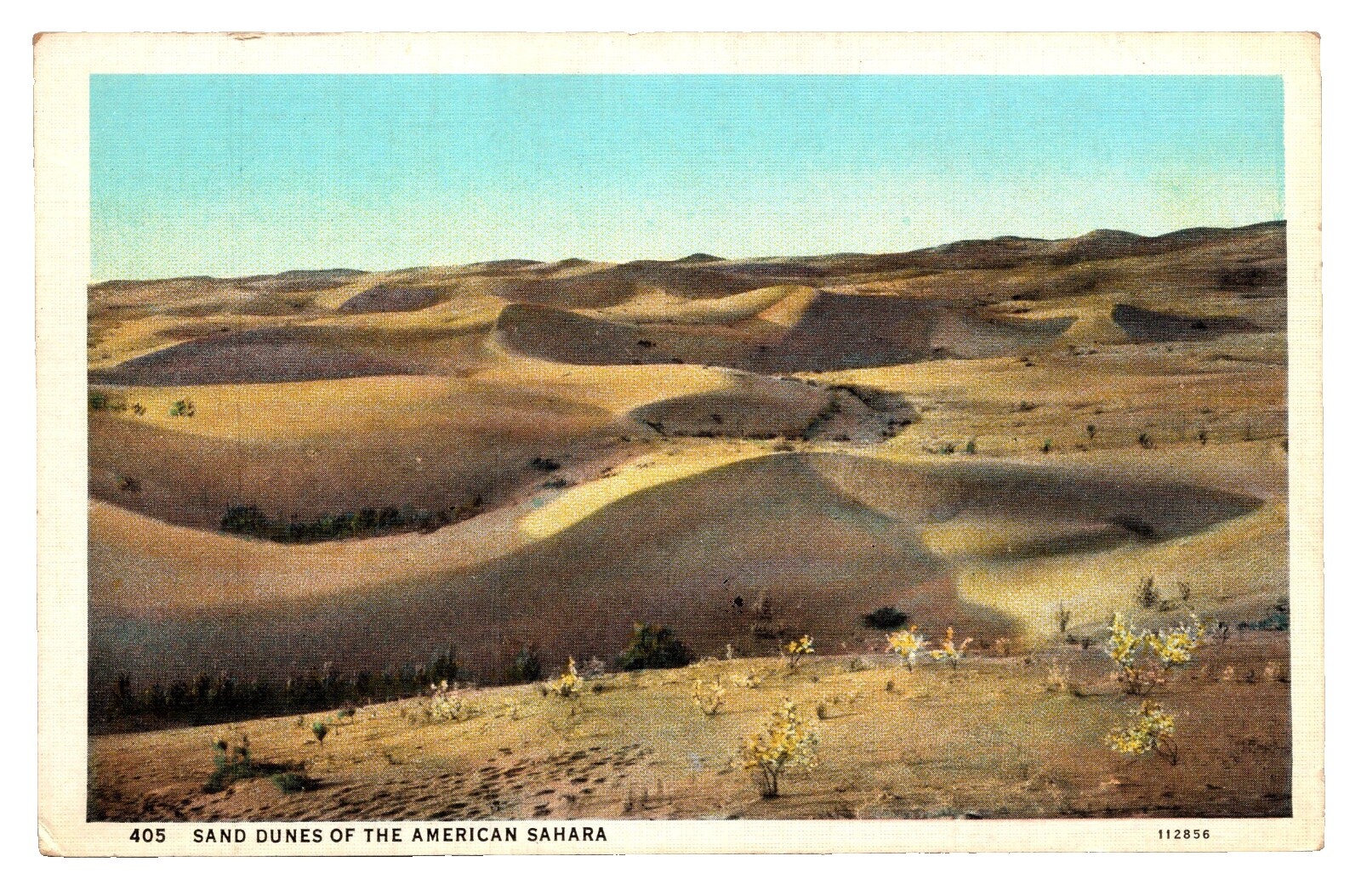 Sahara Sand | eBay