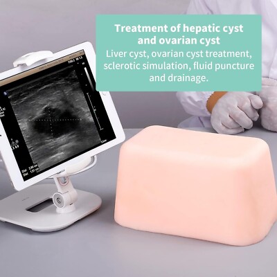 Ultrasound Abdominal Puncture Model Practice Kit, Biopsy Puncture Medical Train