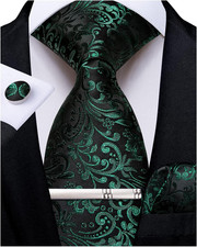Paisley Ties for Men Silk Necktie and Pocket Square Cufflinks Tie Clip Set Woven