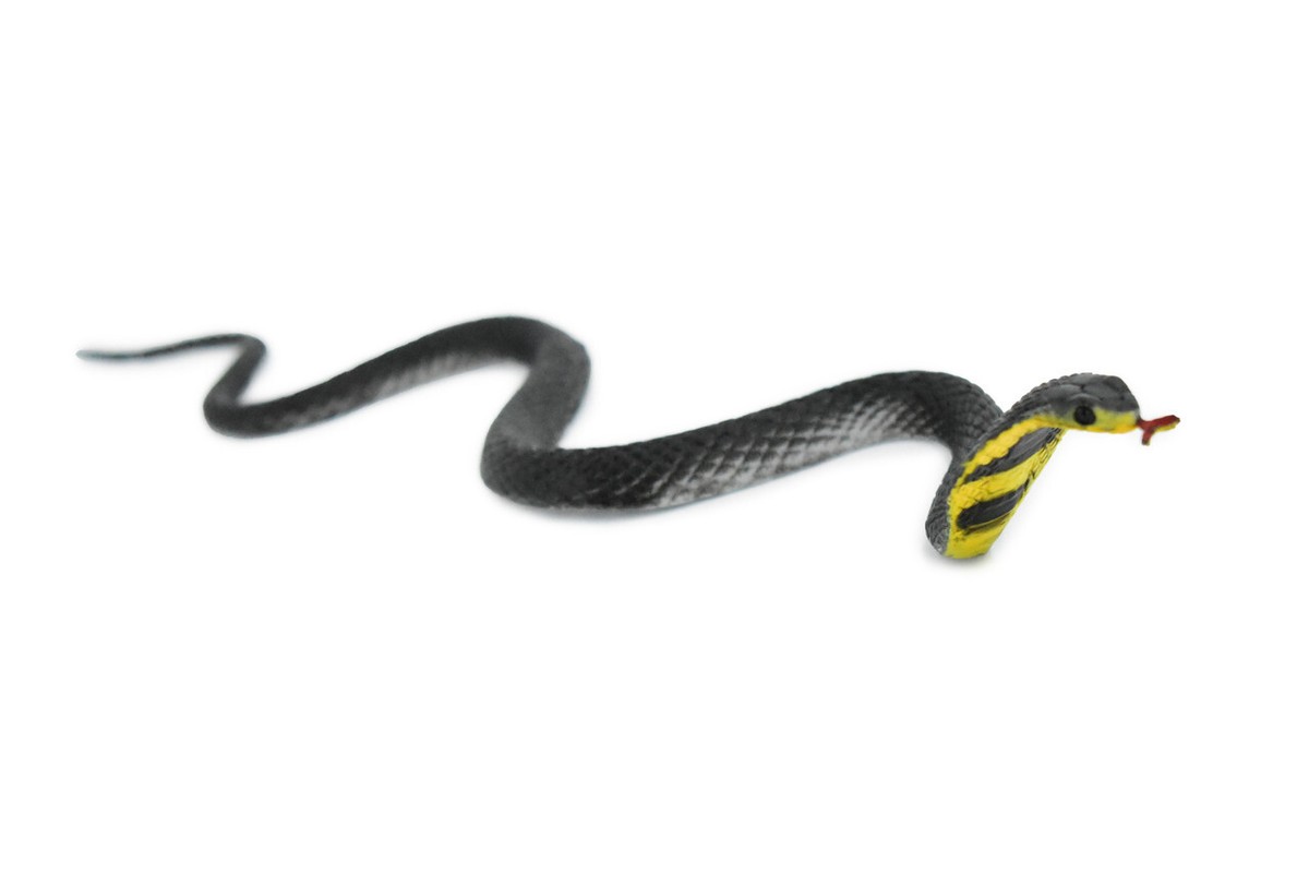 Snake, Black King Cobra, Rubber Reptile, Realistic, Toy Model 10