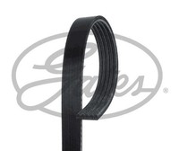 Gates Keilrippenriemen FüR Alfa Romeo Buick Chevrolet CitroËN Mitsubishi