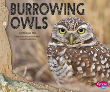 Burrowing Owls - VERY GOOD