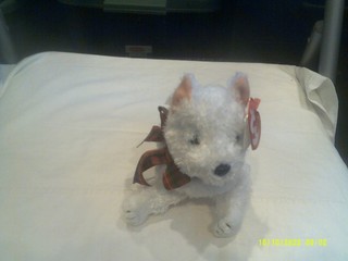Ty Beanie Baby Kirby the White Dog org tags DOB 5/5/2001