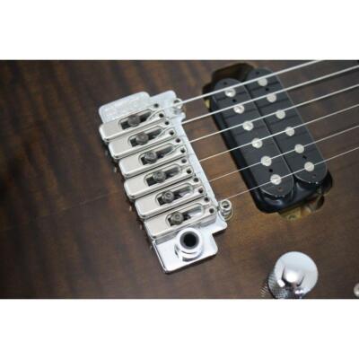 Electric Guitar Fernandes NTG-LTD Walnut Flame Maple Top S/N