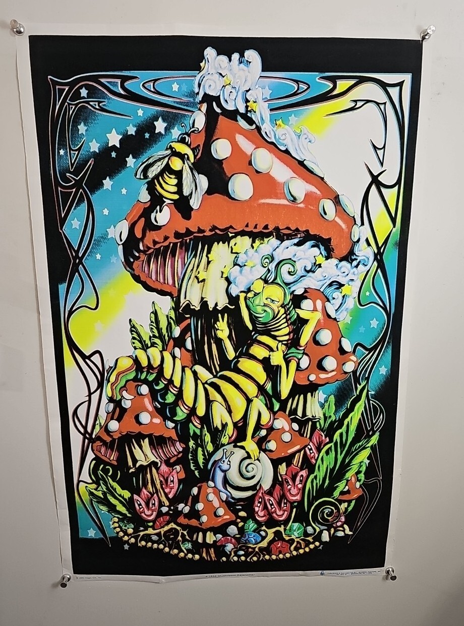 Picture 1 of 1