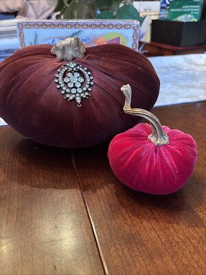velvet pumpkins with real stems