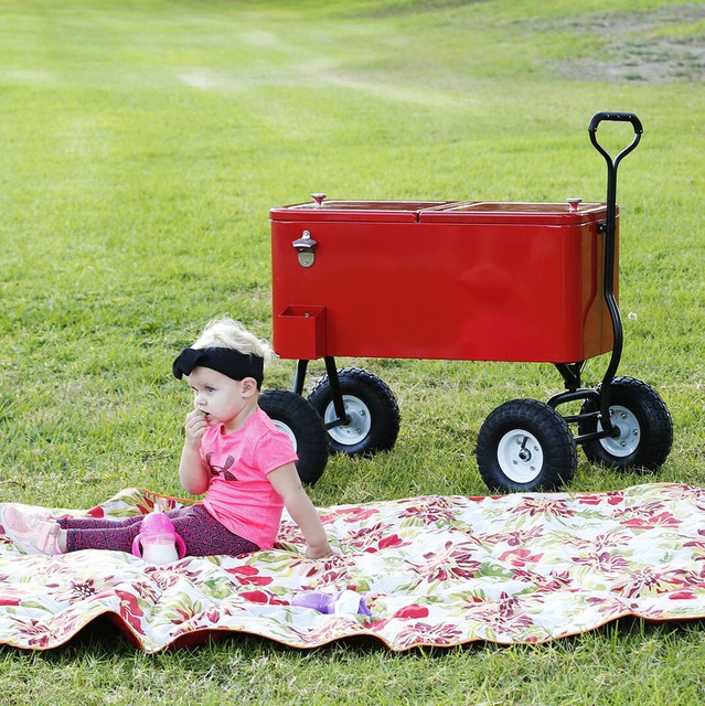 rolling ice cart