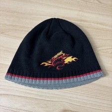 Dragon Hat Beanie Fitted Black Red Gray Embroidered Flames Knit Youth Winter