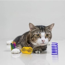Cat Spring Toy, 15 Pcs Cat Kittens Toys Plastic Colorful Spiral Springs