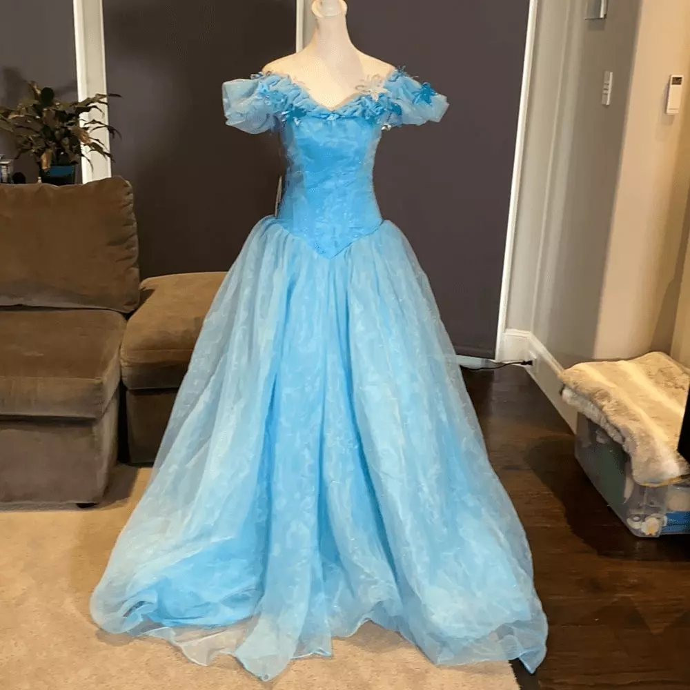 AL Daphne Fairytale Blush Mauve Ombre Gown – GlamEdge Dress & Gown