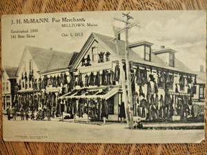 1913 J.H. MANN FUR CO. PICTURE PC  MILLTOWN,ME  BEARSKINS TRAPS VINTAGE TRAPPING