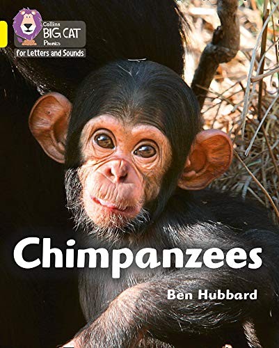 Chimpanzees: Band 03/Yellow (Collins Big Cat Phonics for... - Hubbard, Ben