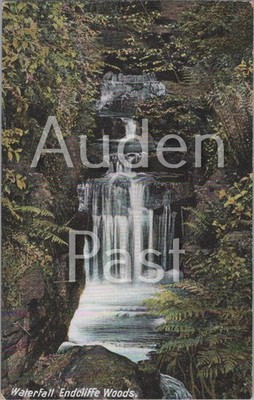 Vintage Postkarte Wasserfall Endcliffe Woods Sheffield chromotypisiert Deutschland