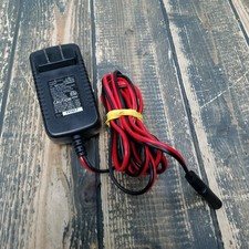 Homelite Consumer Products, Class 2 Lead-Acid Battery Charger, RT34-120010