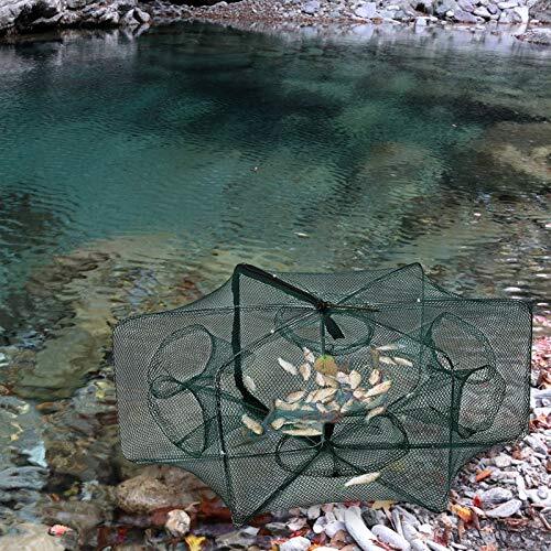 Folded Fishing Net Trap, Fish Shrimp Crab Baits Crayfish Minnow Trap, eBay