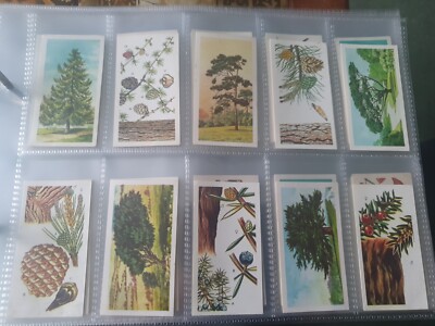 brooke bond tea cards full set Trees In Britain (6)