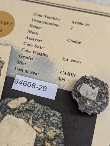 Naufragio della flotta 1715 2 reales con C.O.A. ENCROSTACEO PARZIALMENTE APERTO, RARO! - Foto 5 di 6