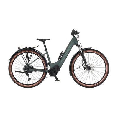 FISCHER TERRA T100 E-Bike - green, 28 Zoll, RH 43 cm, 711 Wh Generalüberholt