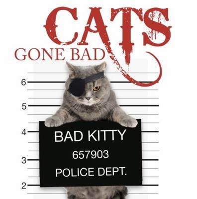 Cats Gone Bad Hardcover