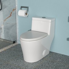Ceramic One Piece Toilet,Dual Flush W/Soft Clsoing Seat