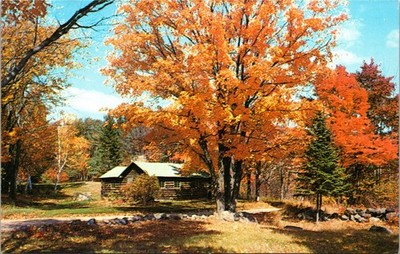 Plastichrome Postcard Autumn New England Log Cabin Fall Foliage Vintage B100