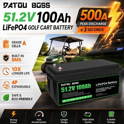 48V 100Ah Deep Cycle LiFePO4 Lithium Battery BMS 5120Wh Backup Power IP65 RV