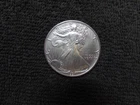 1991 US Walking Liberty 1 ozt .999 Fine Silver One US Dollar Coin