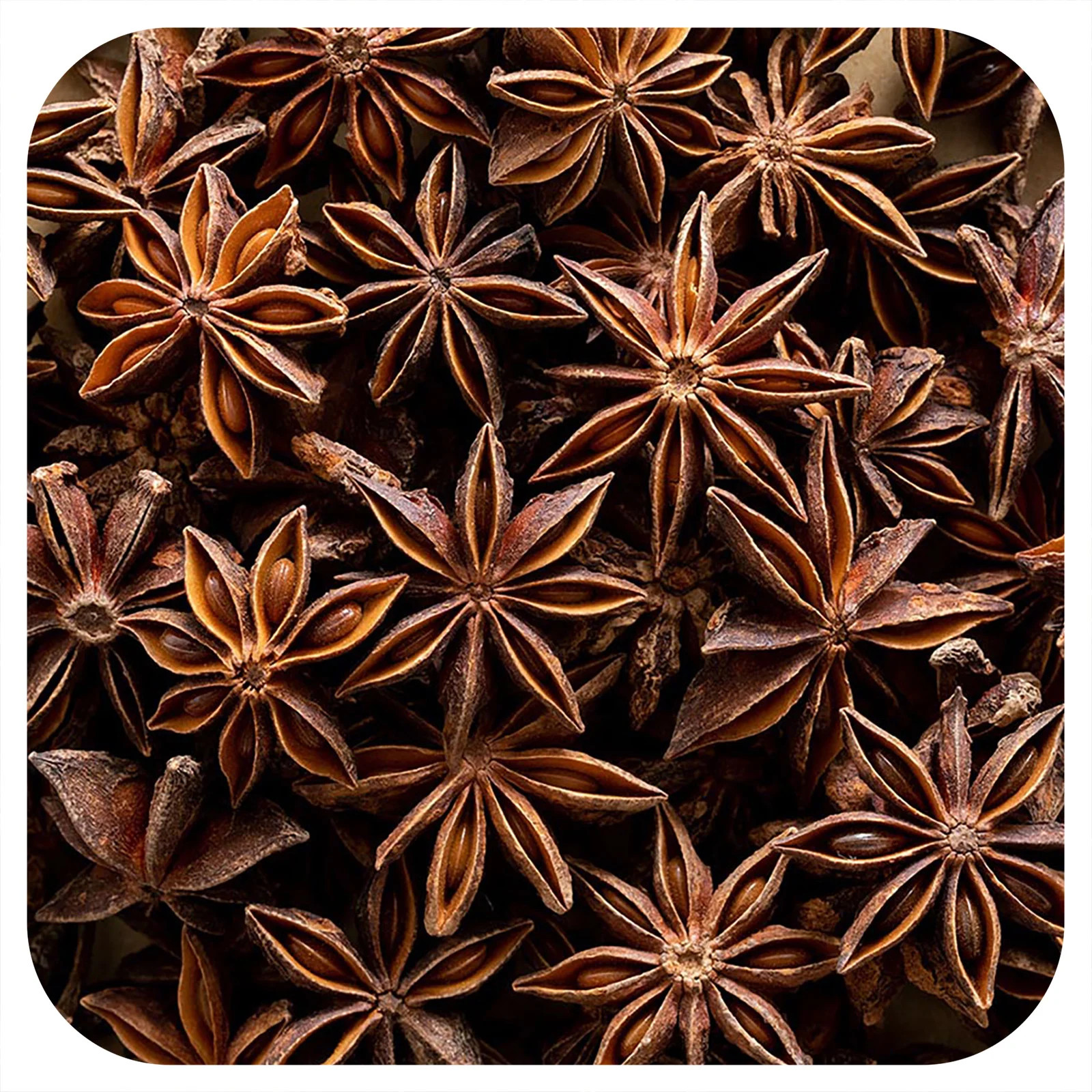 Organic Whole Star Anise Select, 16 oz (453 g)