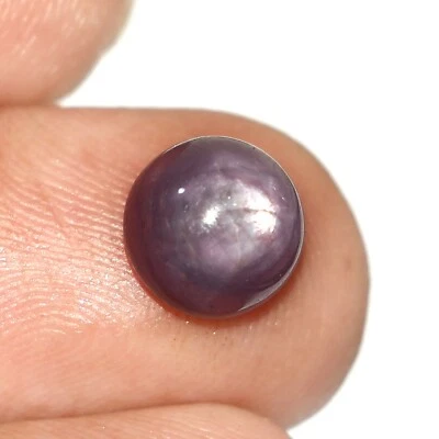 AAA Natürlich Zertifiziert Mosambik Star Rubin Rund Edelstein Cabochon 4.75 CT - Bild 1 von 4