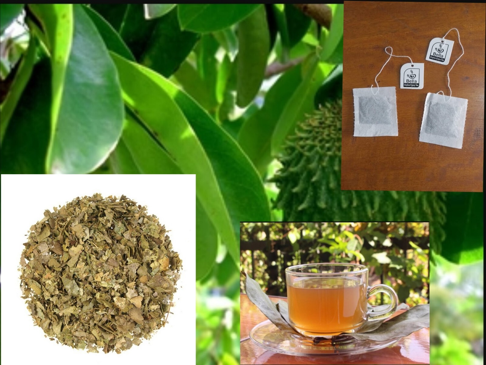 100 % NATÜRLICHE SOURSOP/GRAVIOLA/GUANABANA BLÄTTER TEEBEUTEL (Annona muricata)