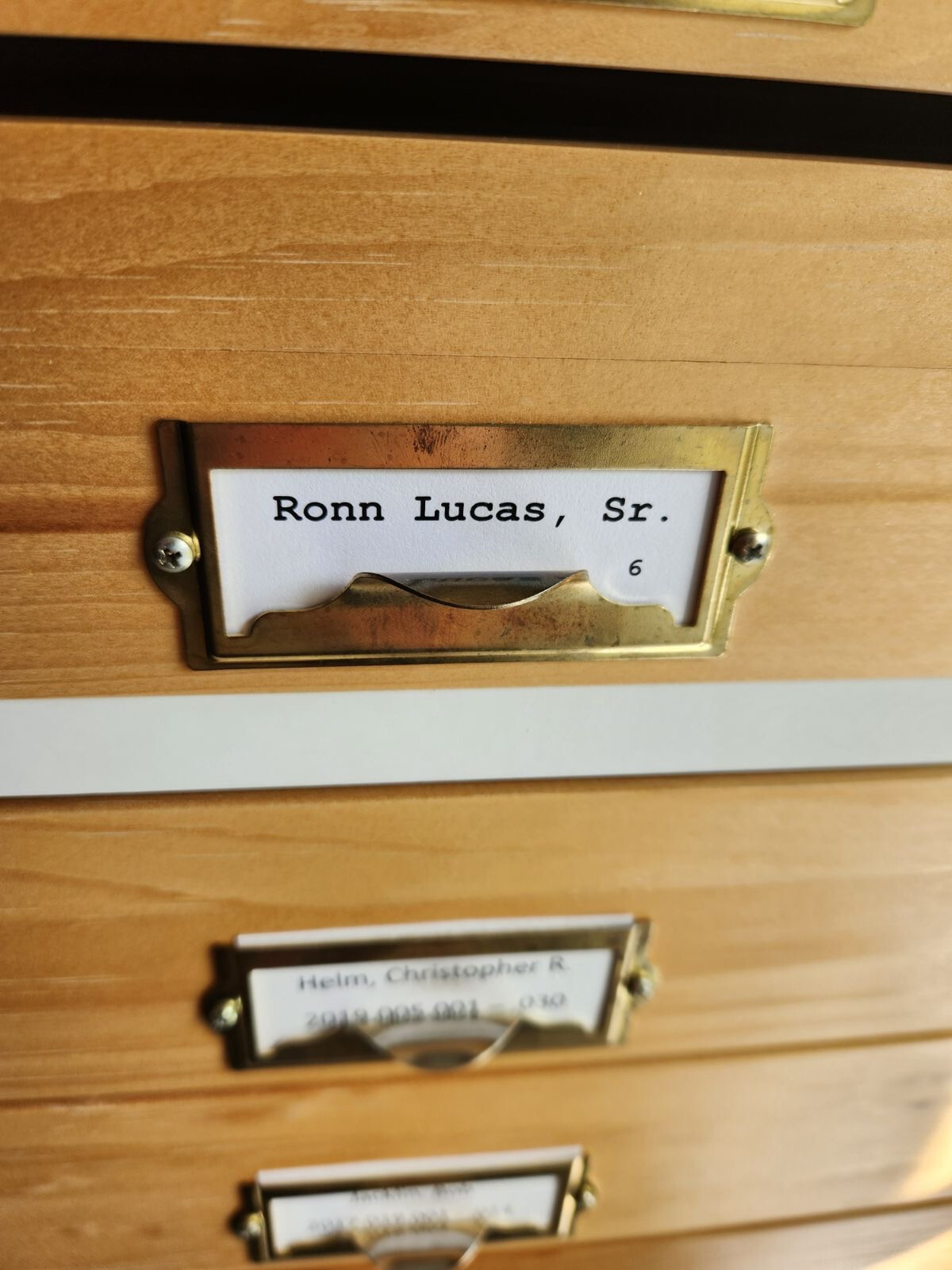 Ronn Lucas Salmon Fly L1 - Image 5