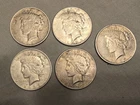 Five 1923 Silver Peace Dollars
