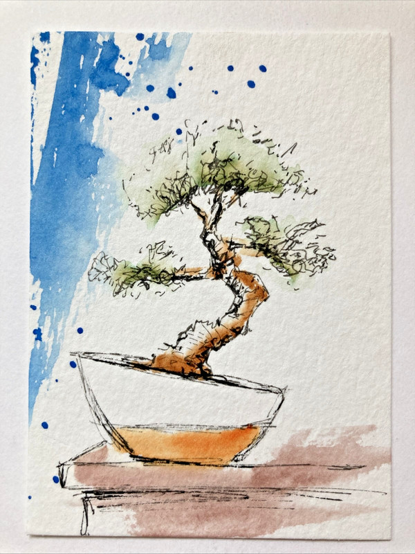 ACEO Original Watercolor Painting OOAK Still Life ATC Bonsai Tree