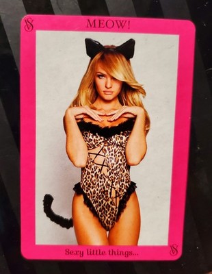 Victoria's Secret Sexy Little Things Kitty Costume Lingerie Medium NWOT