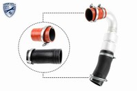 Ladeluftschlauch Vaico V25-1920 FüR BA7 Focus Ford Mondeo Kuga 2 DM2 1 4 Galaxy