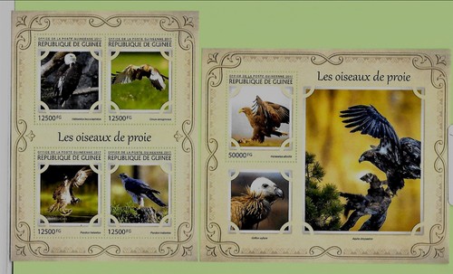 GUINEA - NH MINISHEET+S/S of 2017 - BIRDS - EAGLES