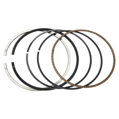 74MM Bore Piston Ring Set For Yamaha XG250 TRICKER 2004-2017