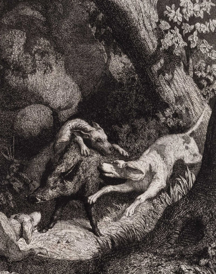 C. ELMERICH (1813-1889), Keilerjagd mit Jagdhunden im Wald, Radierung Romantik - Bild 4 von 4