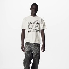 Louis Vuitton LV Birds Graphic