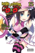High School DXD, Vol. 15 (Light Novel): Dark Knight of Sunshine by Ishibumi: New