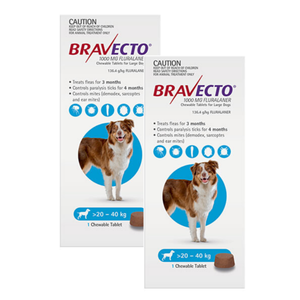 bravecto ebay