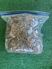 spanish moss