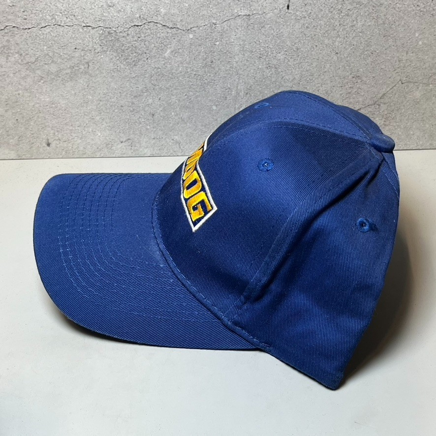MOOG Blue Hat Cap Strap Back Adjustable Federal-M… - image 3