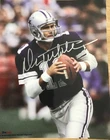 DANNY WHITE Signed DALLAS COWBOYS 8x10 PHOTO