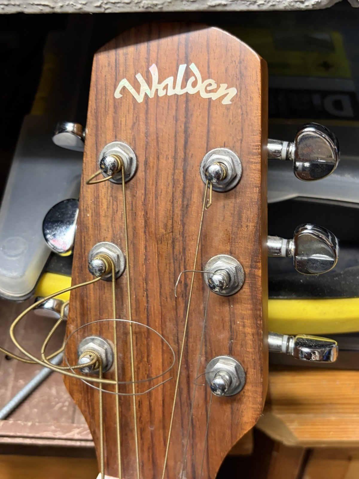 Walden Natura D550CE Chitarra Elettroacustica Cutaway Solid Top con Borsa Gig foto 2